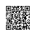 Y16251K28000T9W QRCode