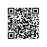 Y16253K65000T9R QRCode