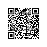 Y16254K65500T9R QRCode