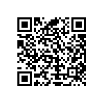 Y16256K20000T9W QRCode