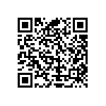 Y16256K81000T9W QRCode