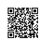 Y16257K00000T0W QRCode