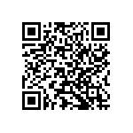 Y162720K9810T0W QRCode