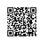 Y16273K30000T9R QRCode