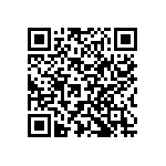 Y16279K80000T9R QRCode