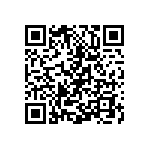 Y162813K0000T9W QRCode