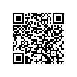 Y162873K2000B0W QRCode