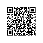 Y16291K30000T0W QRCode