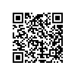 Y16301K10000T9W QRCode