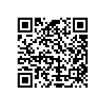 Y16305K11000T9W QRCode