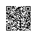 Y16306K20000F0R QRCode