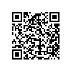 Y16361K45000A9R QRCode