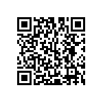 Y16363K12500T0W QRCode