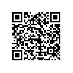 Y1728100R000T9L QRCode