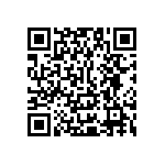 Y17451K20000T0R QRCode