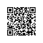 Y17451K20000T9L QRCode