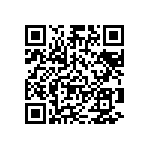 Y174613K2539B9R QRCode