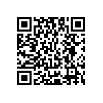 Y17461K42000T0L QRCode