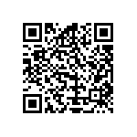 Y17466K63100T9R QRCode