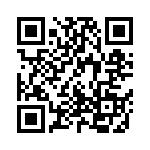 Y201132W203NQE QRCode