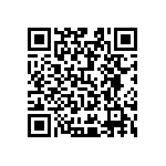 Y4078100R000A9L QRCode