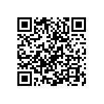 Y507710K0000T0L QRCode