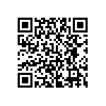 YB25SKW01-12-BB QRCode