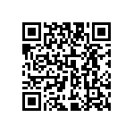 009175003702996 QRCode