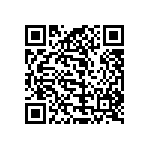 009176001011106 QRCode