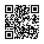 0294100-H QRCode