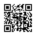 0295100-U QRCode