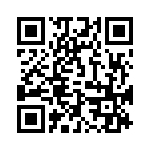 0310531300 QRCode