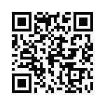 0382110101 QRCode