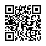 04025C181KAT2A QRCode