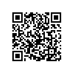 0505J0631P80HQT QRCode