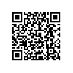 0505J1001P80DQT QRCode