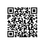 0505Y063P300DQT QRCode