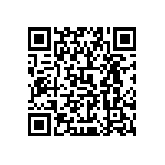 0505Y100P300HQT QRCode