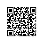 0505Y300P600DQT QRCode