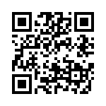 0702871032 QRCode