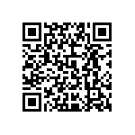 0805Y1002P20BAR QRCode