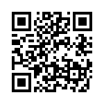 09060009999 QRCode