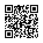 09152000313 QRCode