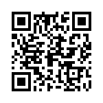 09250303217 QRCode