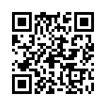 09300160306 QRCode