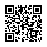 095131009303 QRCode