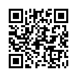 09551663818741 QRCode