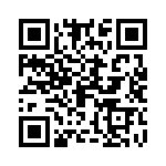 09575080510000 QRCode