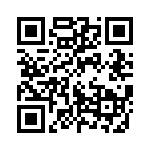 10-190211-04P QRCode