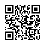 10-9513-10H QRCode